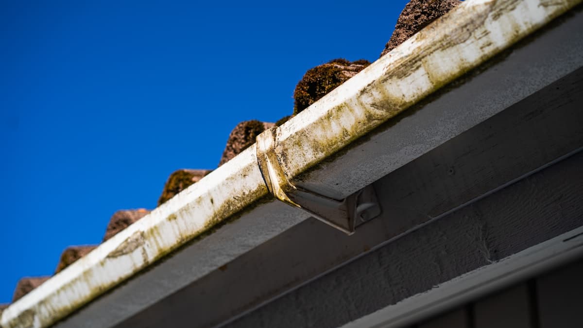 A clogged, moss-stained rain gutter along a roofline against a clear blue sky