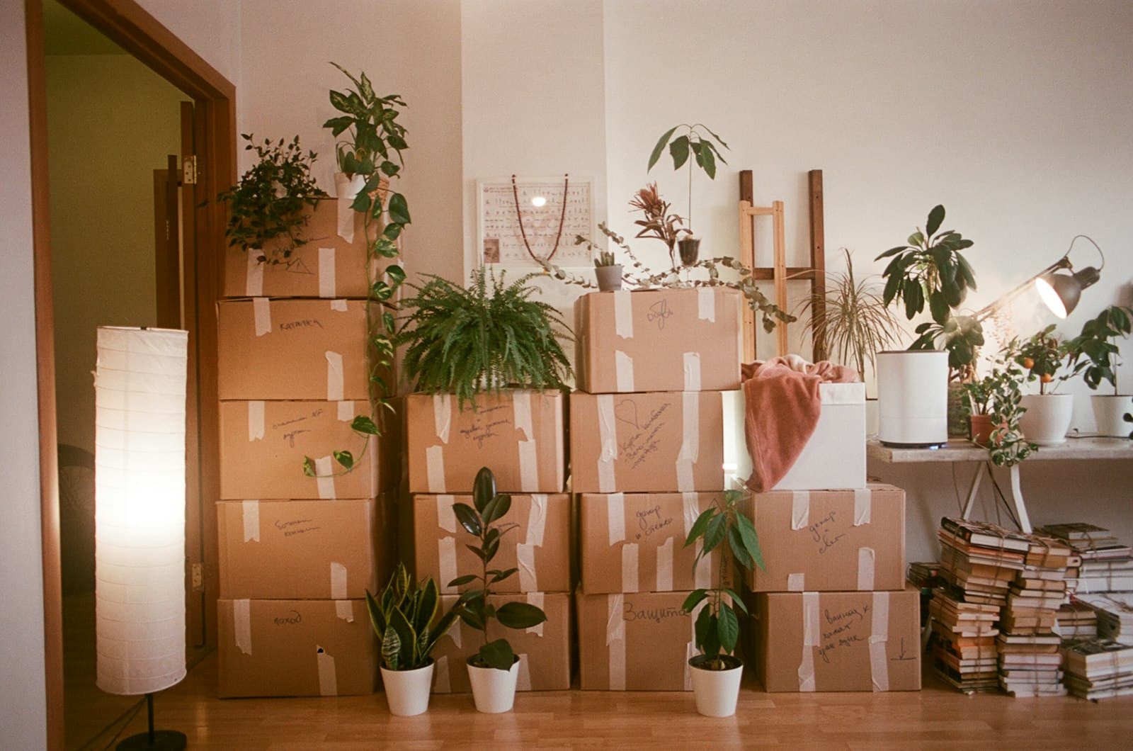 A room packed with moving boxes
